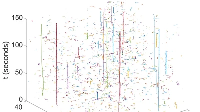 A microscopic way to measure virus attachment featured image