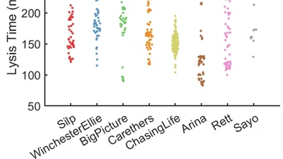 Rage Against the Mean: Perspective on measuring single-virus traits featured image