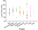 Rage Against the Mean: Perspective on measuring single-virus traits